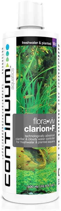 Flora•Viv Clarion•F