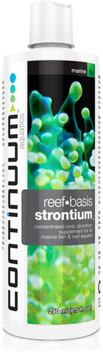 Reef•Basis Strontium